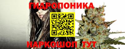 молекула духа Шелехов