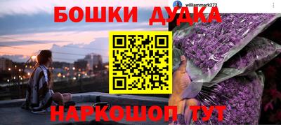 молекула духа Шелехов