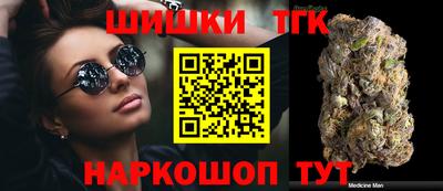 молекула духа Шелехов