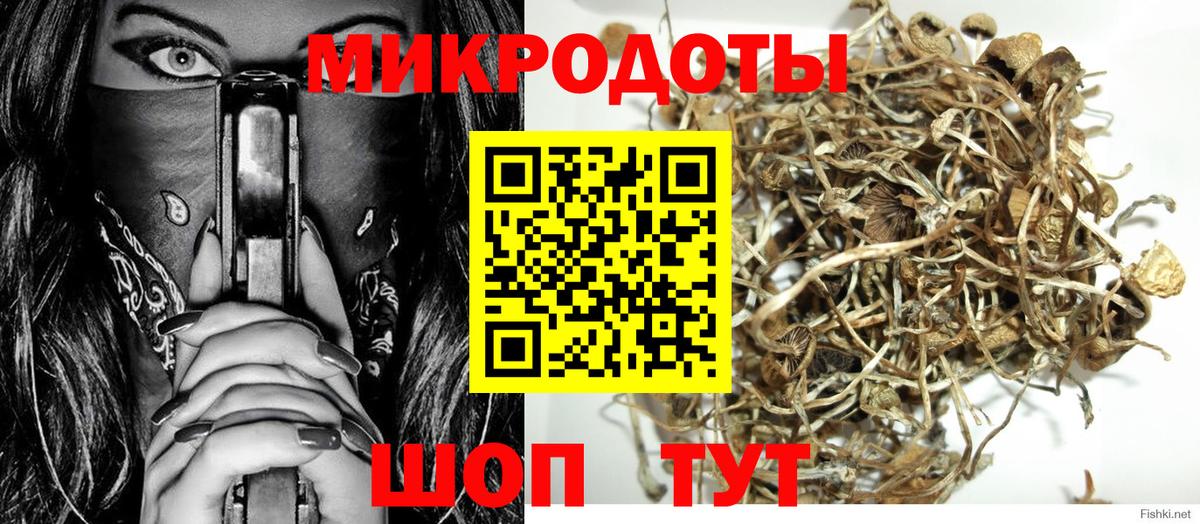 Галлюциногенные грибы прущие грибы Асино