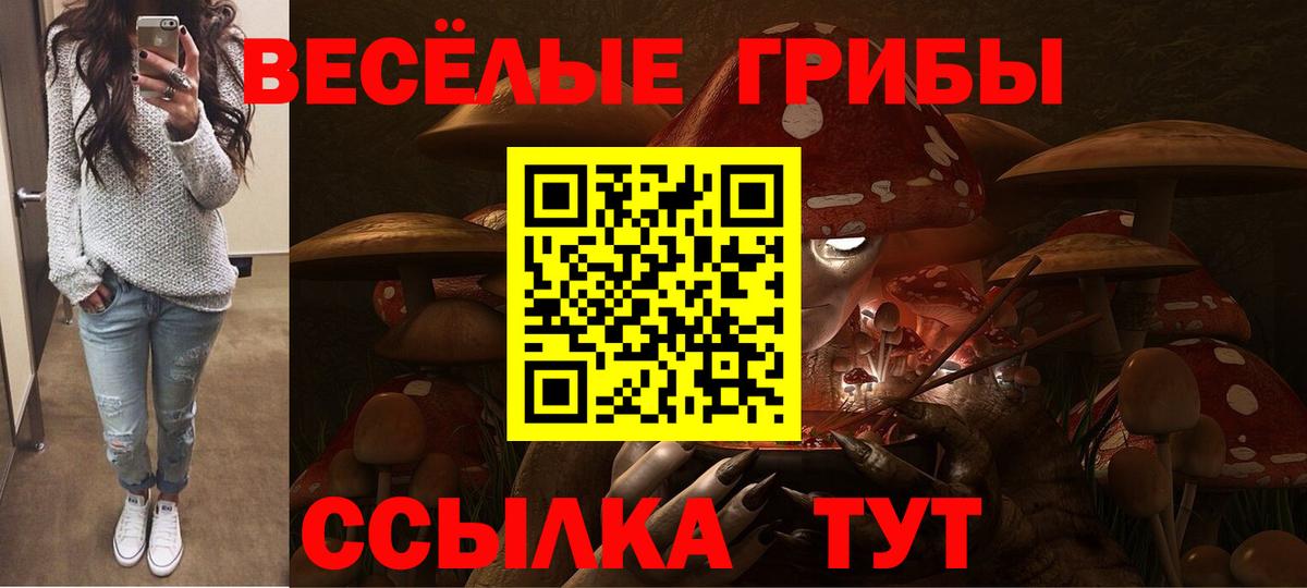 Асино  Псилоцибиновые грибы GOLDEN TEACHER  Вход с VPN  купить наркотик  Псилоцибиновые грибы ЛСД 