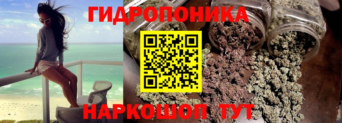 МАРИХУАНА THC 21%  Бошки марихуана White Widow  Вход с VPN  Шишки марихуана планчик  Асино 